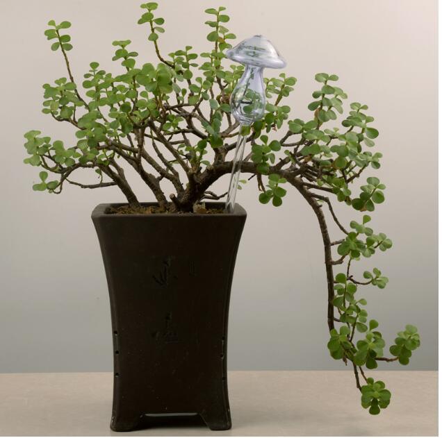 Glass Automatic Self Watering Bird.