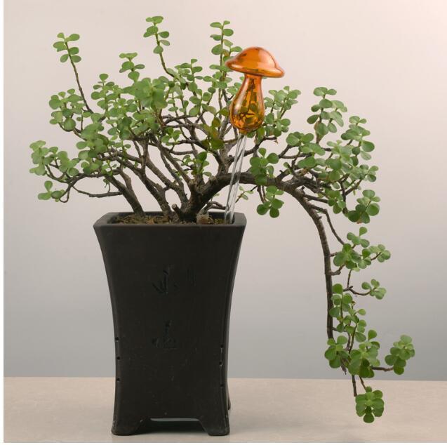 Glass Automatic Self Watering Bird.