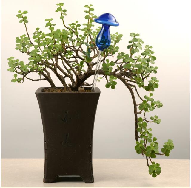 Glass Automatic Self Watering Bird.