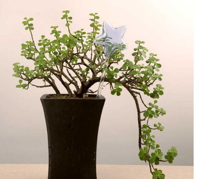 Glass Automatic Self Watering Bird.