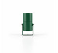 Green Spotlight Outdoor Light - Green