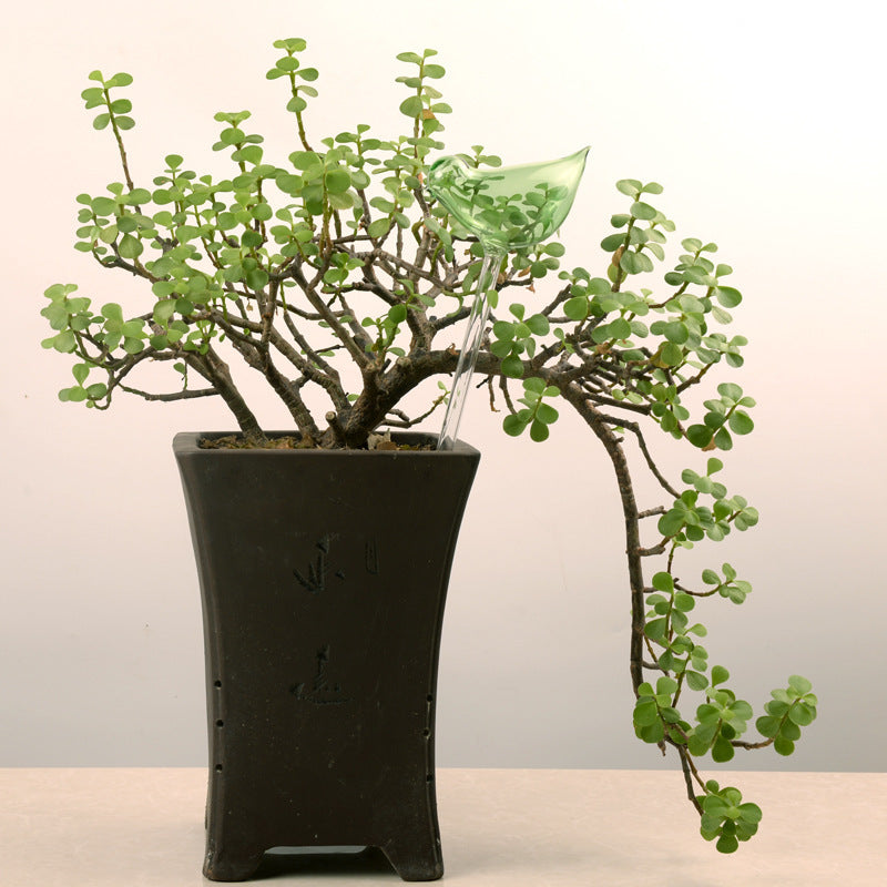 Glass Automatic Self Watering Bird.